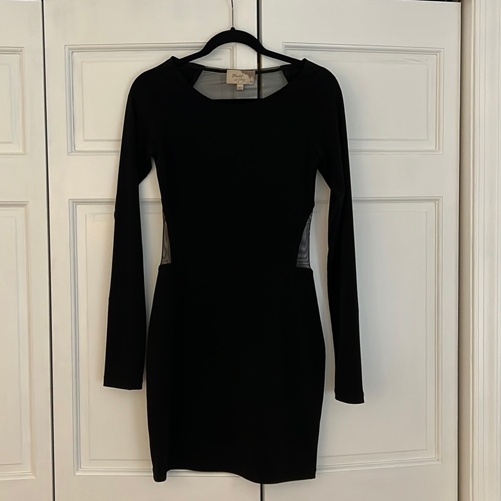 Long sleeve Elizabeth and James mini with sheer back